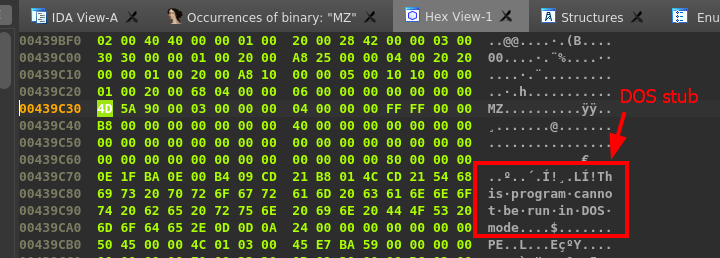 Windows PE Malware Analysis Part II